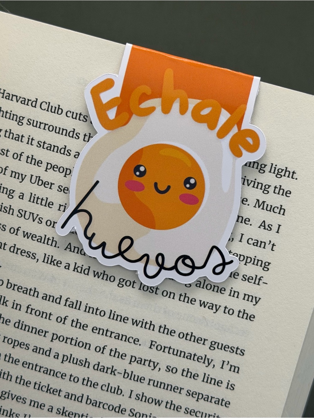 Fun Magnetic Bookmarks - Picture 3 of 5